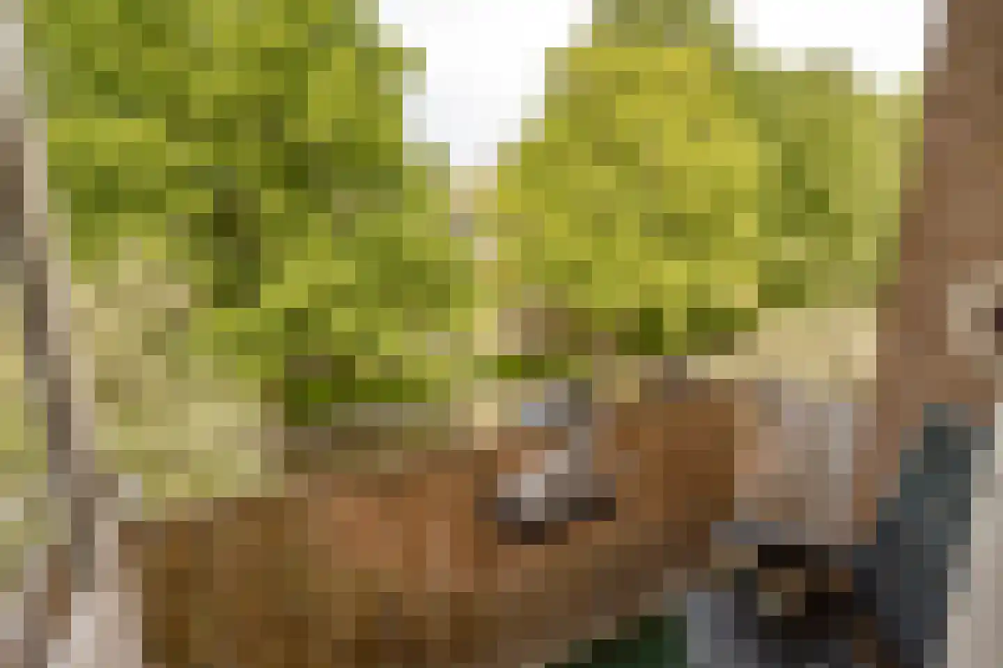Burmanlaan 38 Wassenaar thumbnail 17