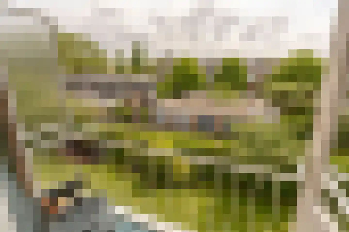 Burmanlaan 38 Wassenaar thumbnail 25