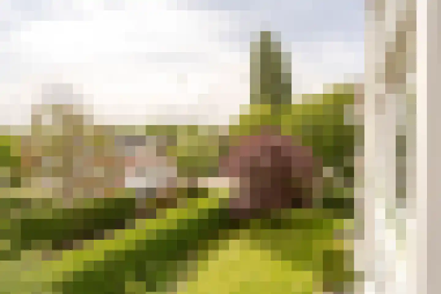 Burmanlaan 38 Wassenaar thumbnail 26