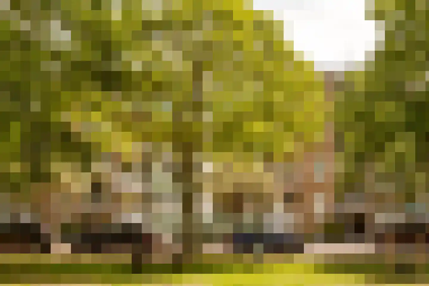 Burmanlaan 38 Wassenaar thumbnail 27