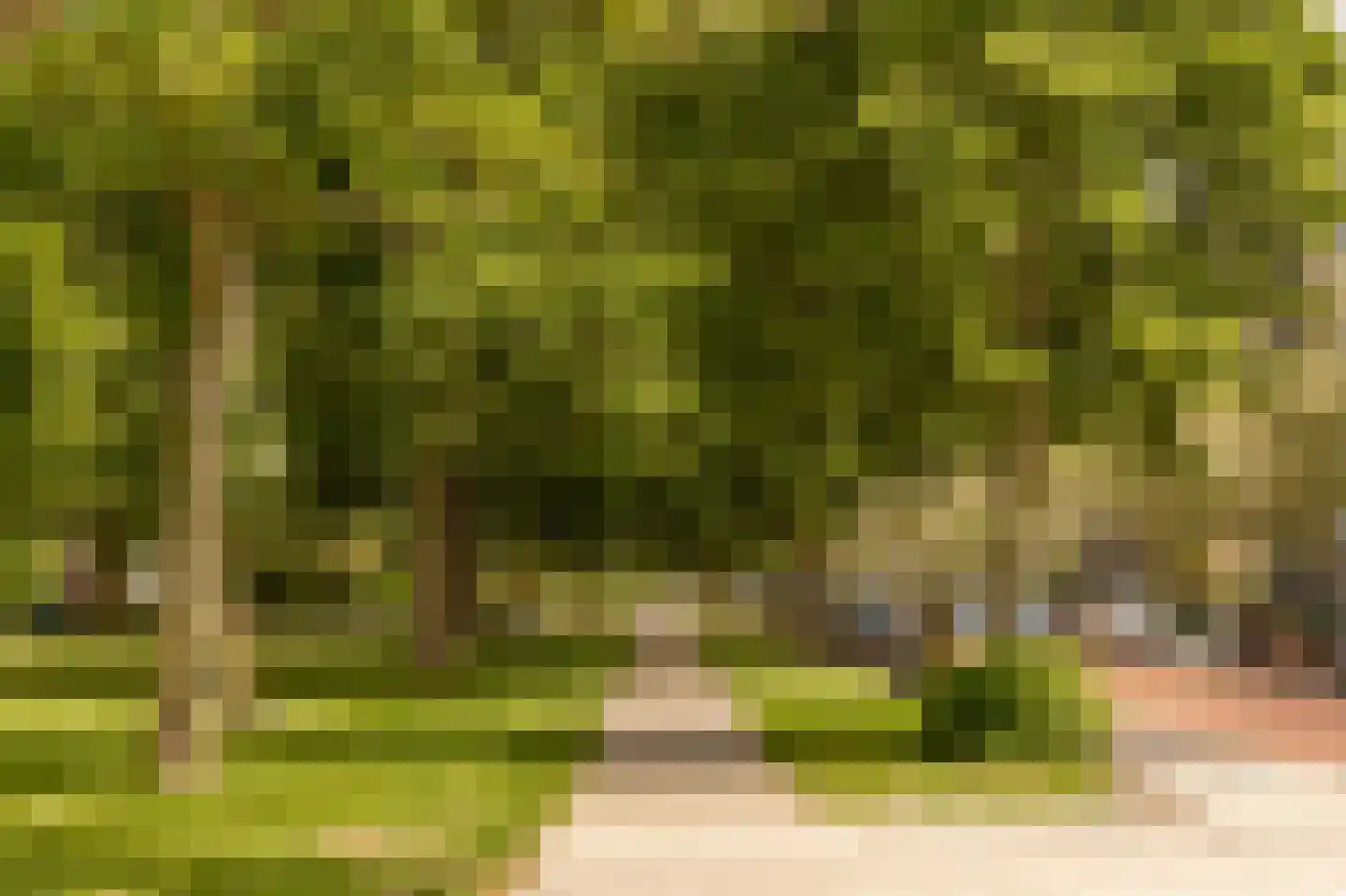 Burmanlaan 38 Wassenaar thumbnail 29