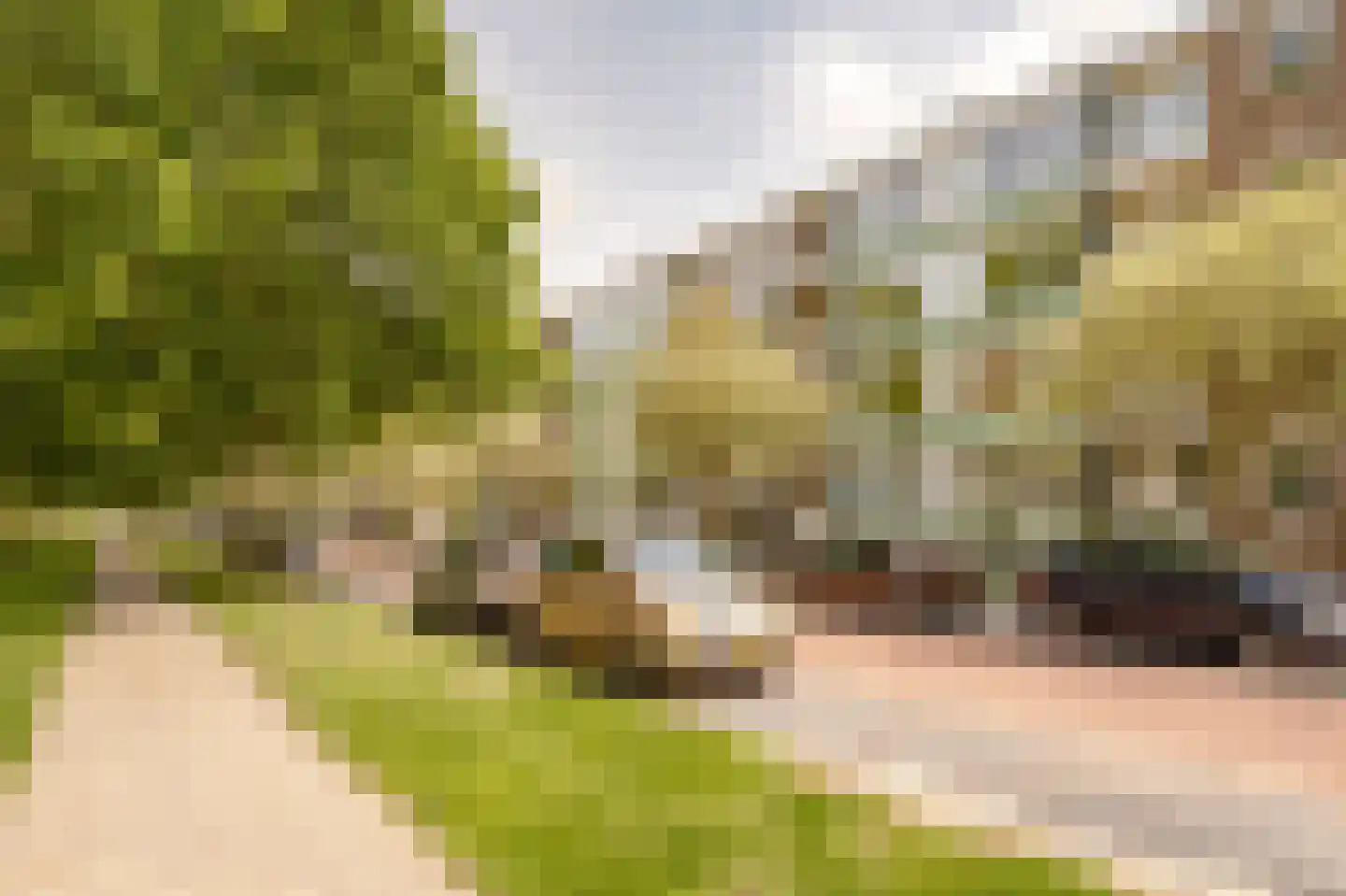 Burmanlaan 38 Wassenaar thumbnail 5