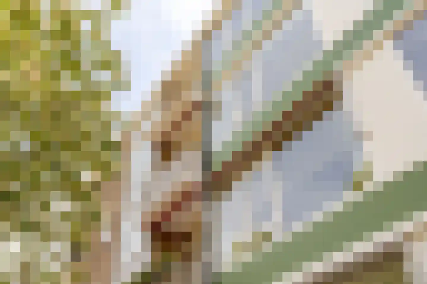 Burmanlaan 38 Wassenaar thumbnail 6