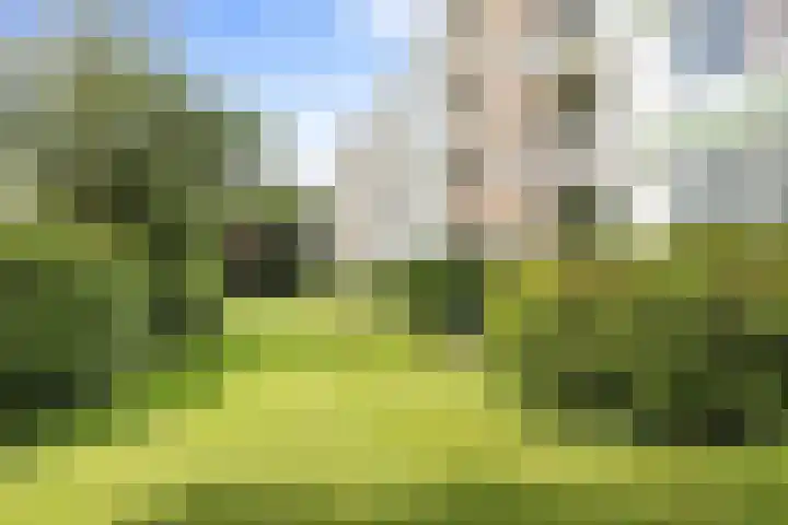Burmanlaan 44 Wassenaar thumbnail 20