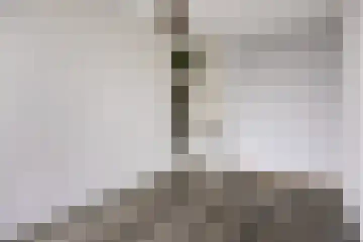 Burmanlaan 44 Wassenaar thumbnail 5