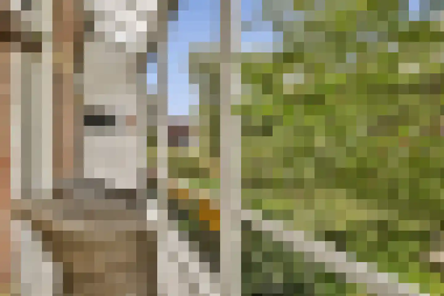 Burmanstraat 11 1 Amsterdam thumbnail 12
