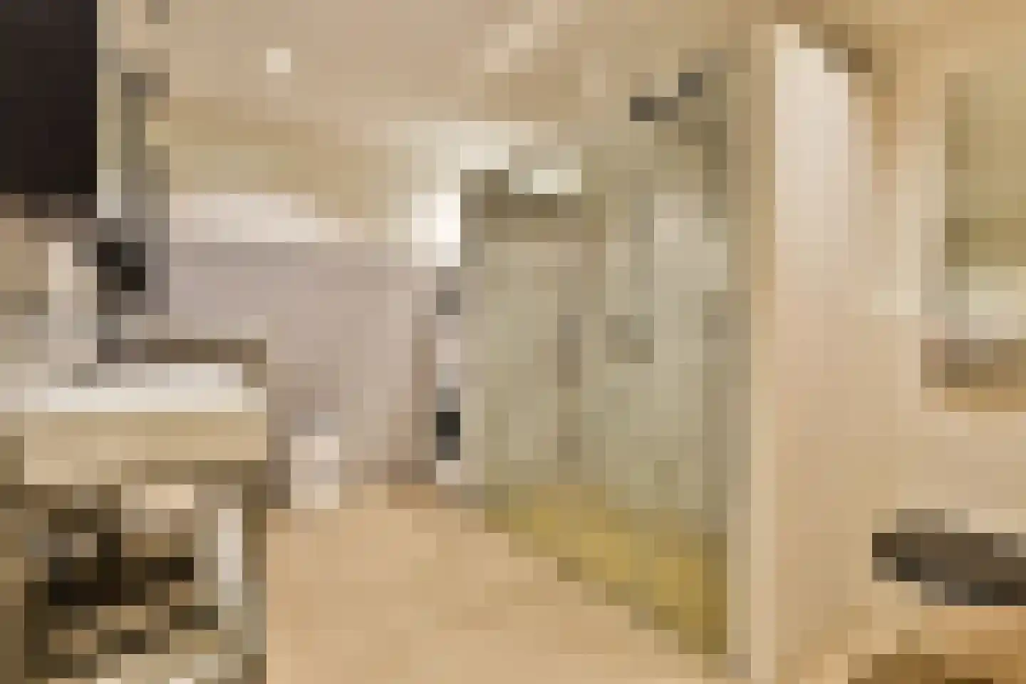 Burmanstraat 11 1 Amsterdam thumbnail 15