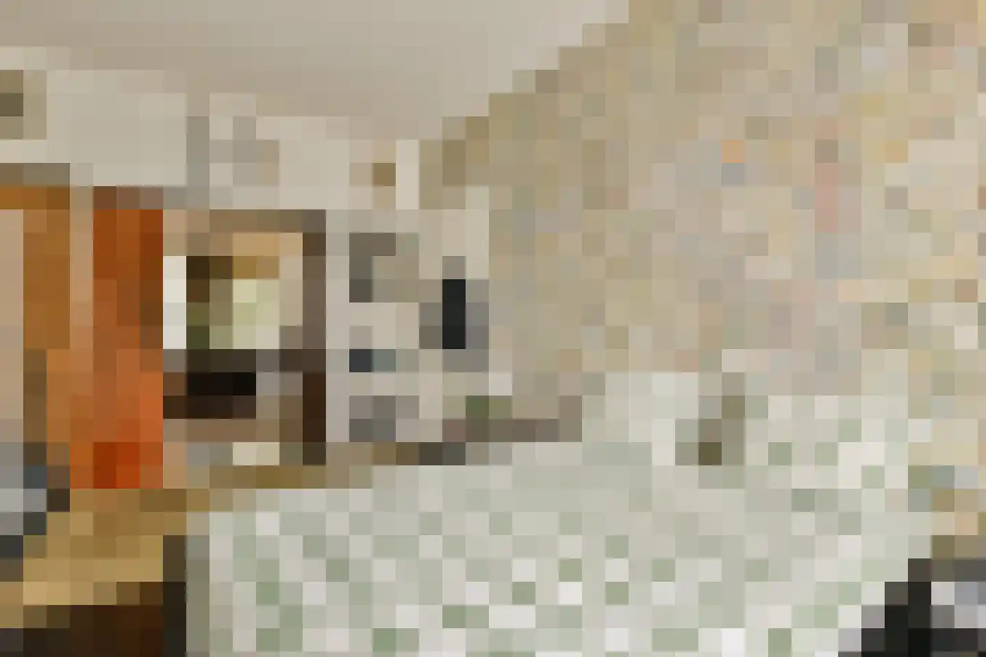 Burmanstraat 11 1 Amsterdam thumbnail 28