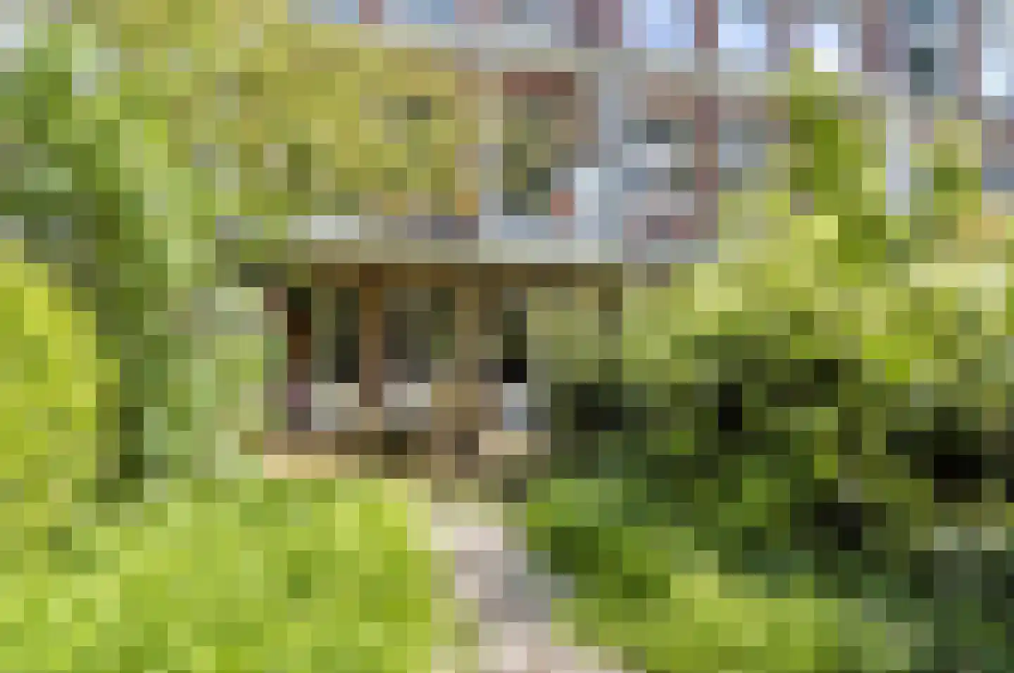 Burmanstraat 11 2 Amsterdam thumbnail 22