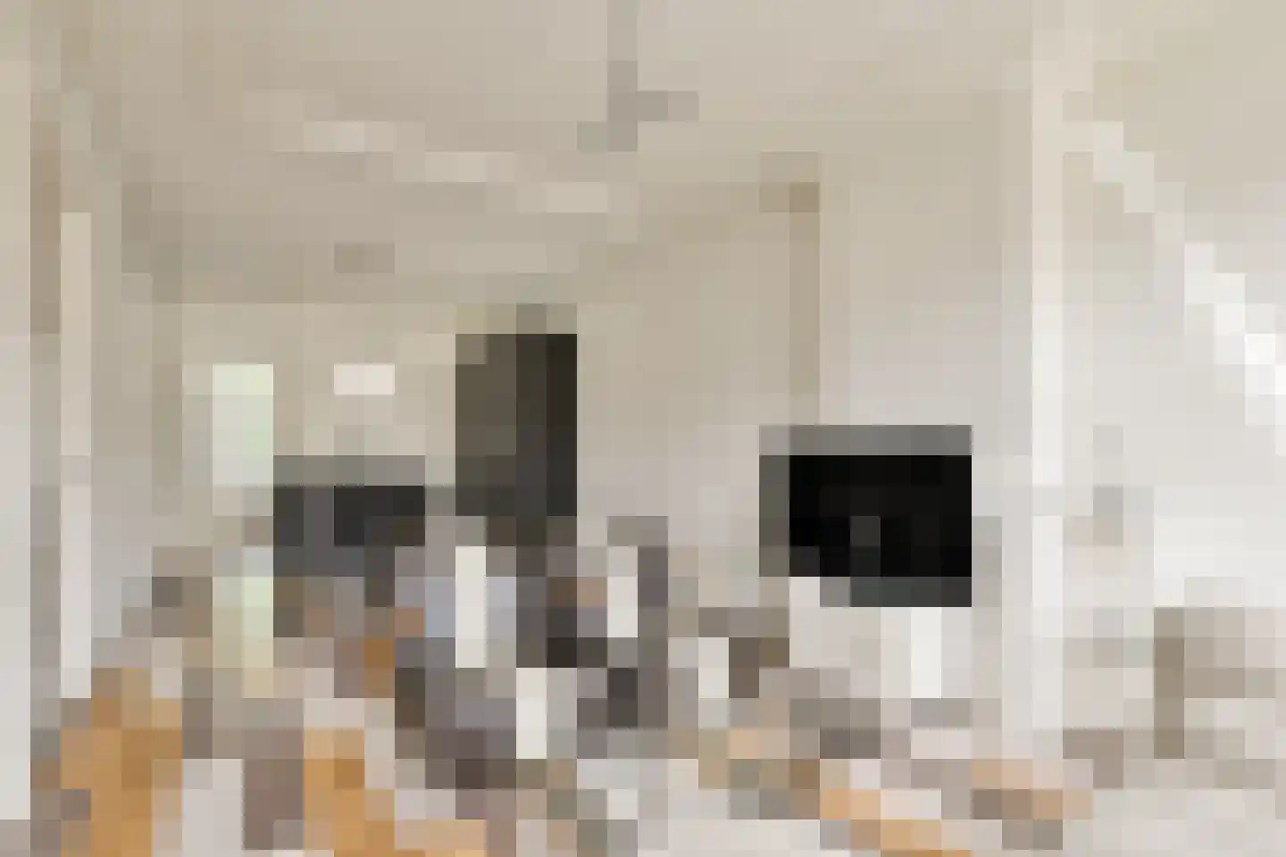 Burmanstraat 11 2 Amsterdam thumbnail 34