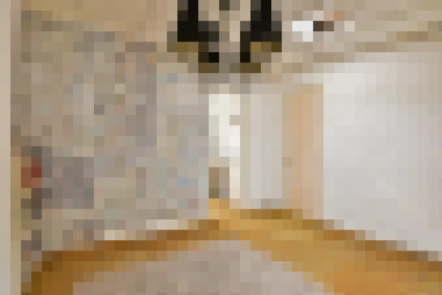 Burmanstraat 11 2 Amsterdam thumbnail 42