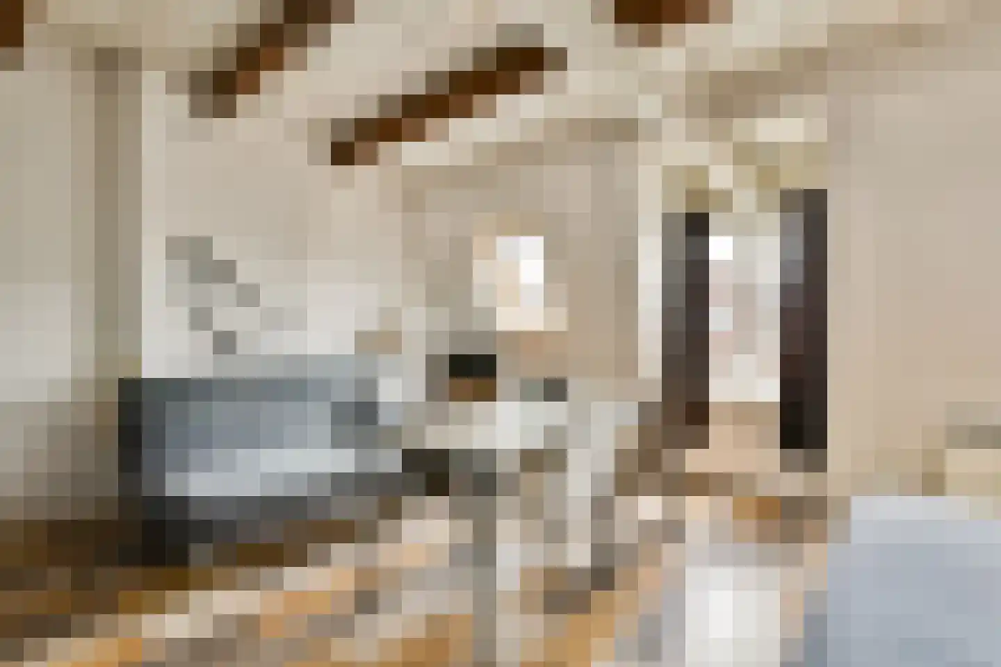 Burmanstraat 11 2 Amsterdam thumbnail 46