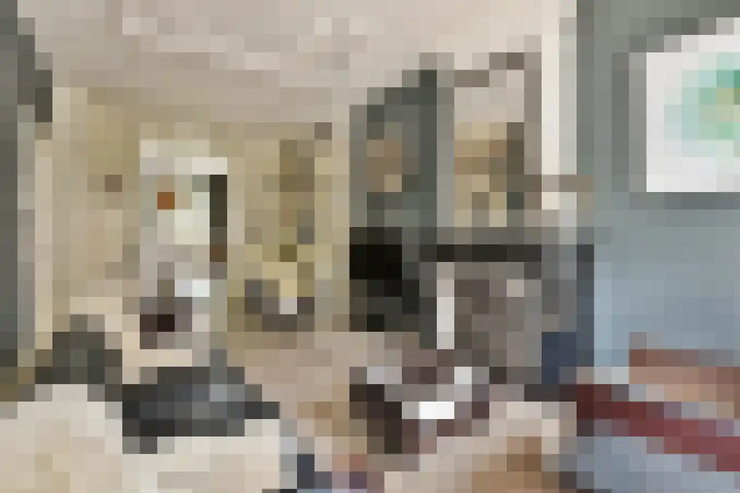 Burmanstraat 11 2 Amsterdam thumbnail 5