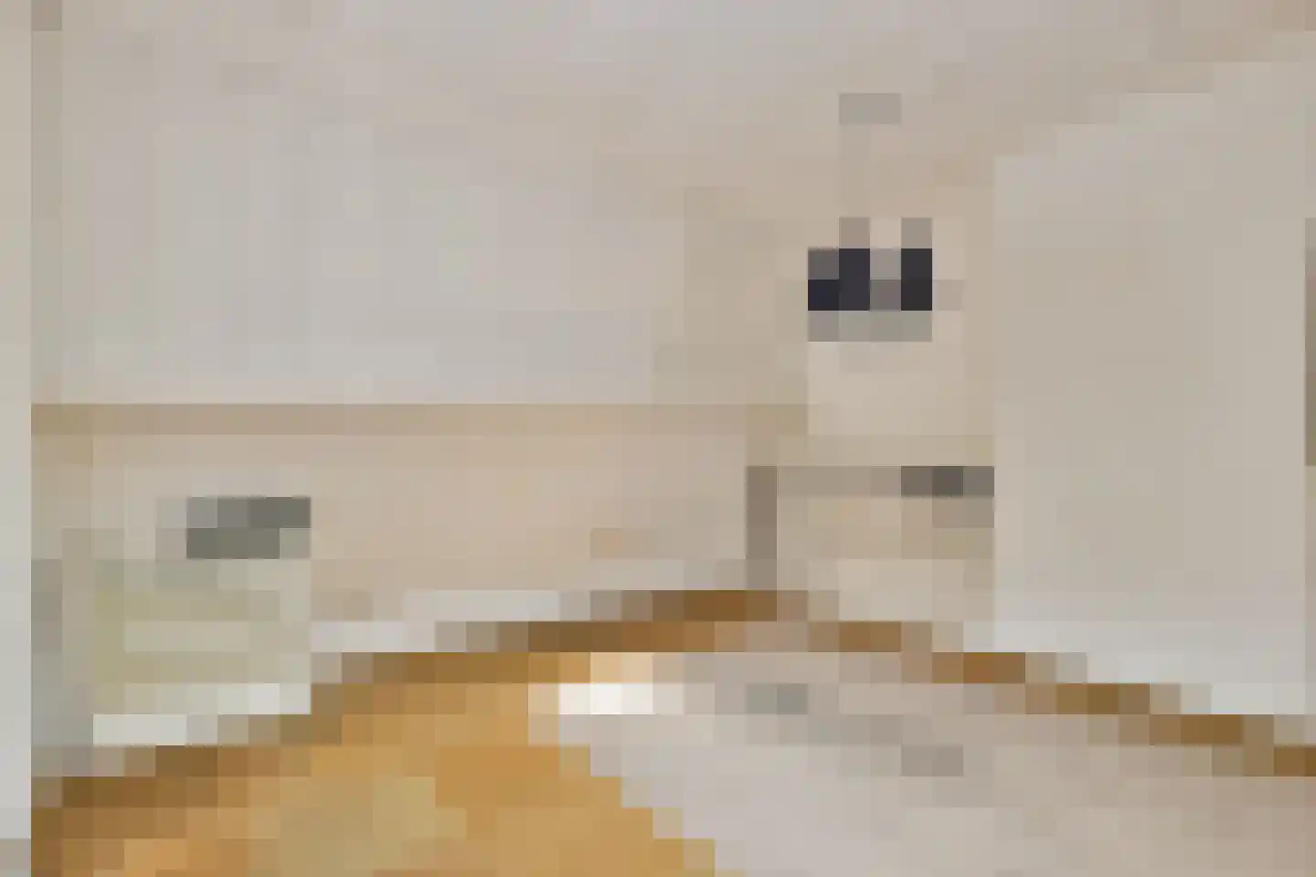 Burmanstraat 11 O Amsterdam thumbnail 41