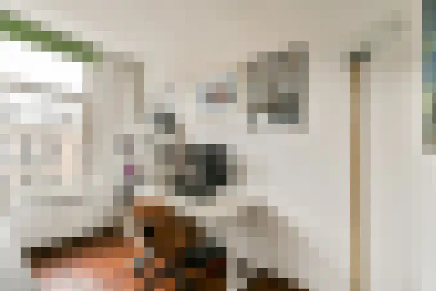 Burmanstraat 16 1 Amsterdam thumbnail 6