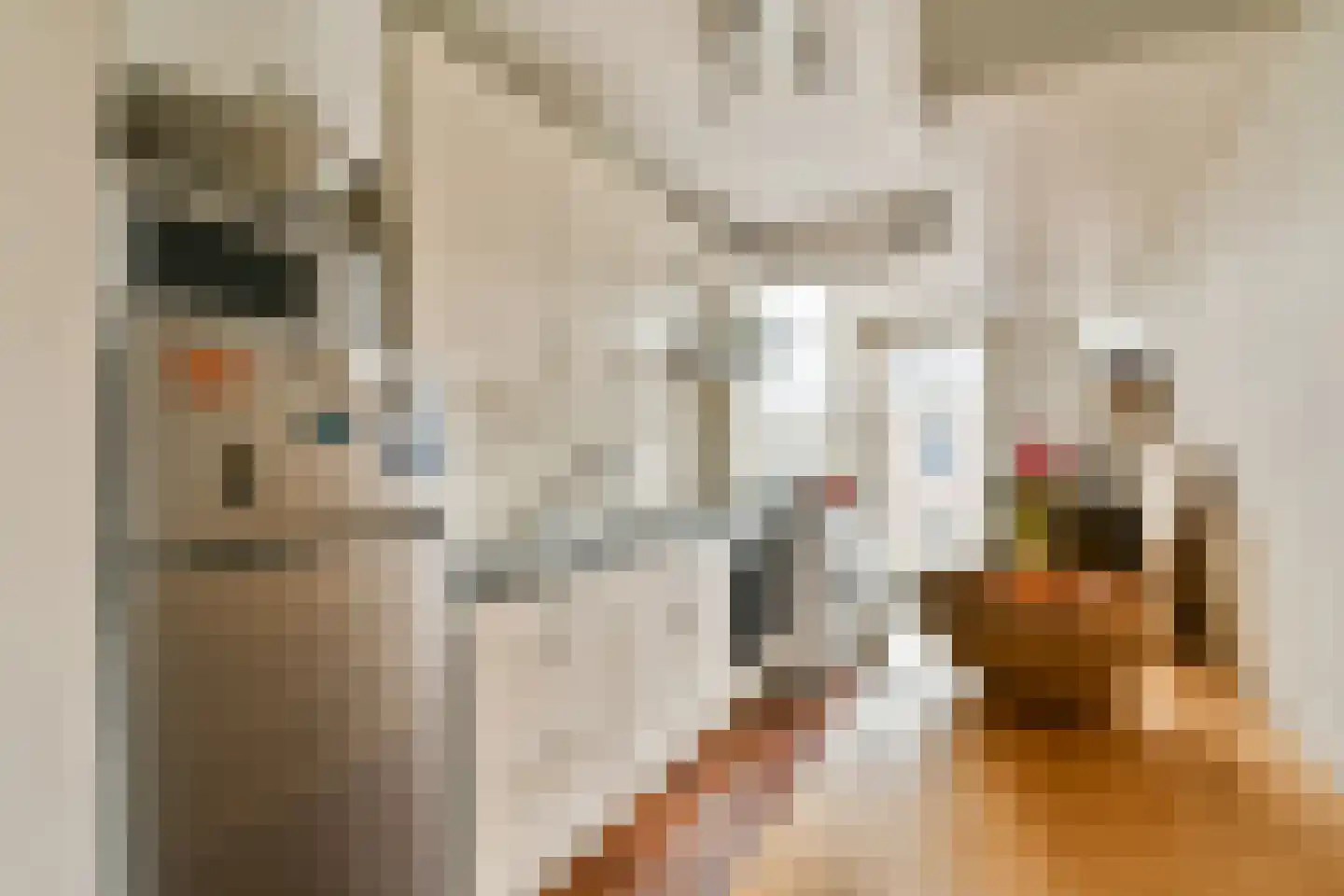 Burmanstraat 16 1 Amsterdam thumbnail 8