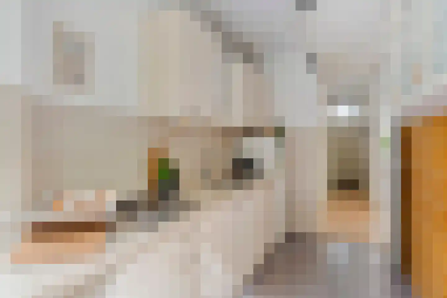 Burmanstraat 24 H Amsterdam thumbnail 17
