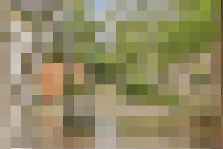 Burmanstraat 7 O Amsterdam thumbnail 22