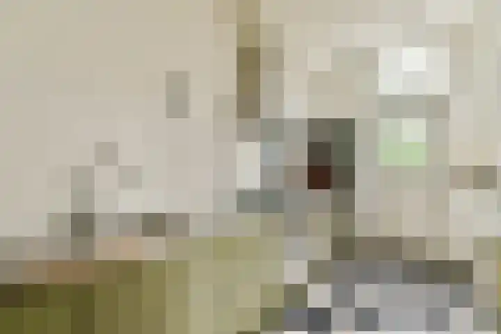 Burmanstraat 7 O Amsterdam thumbnail 9