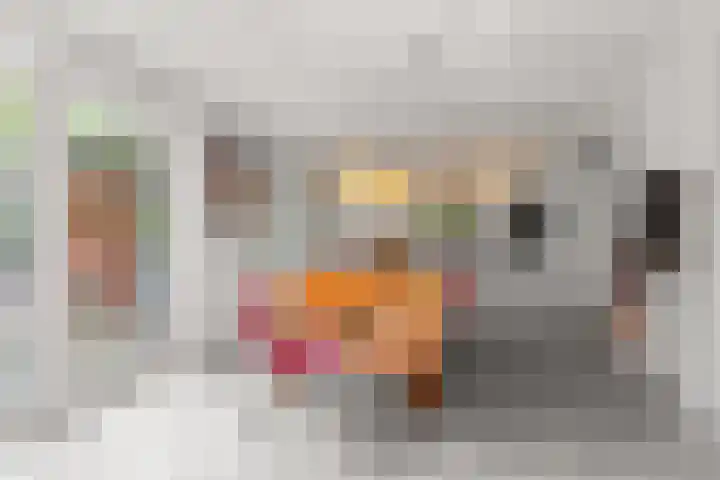 Burnierlaan 1 Rozendaal thumbnail 11