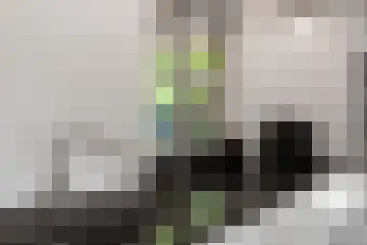 Burnierlaan 1 Rozendaal thumbnail 13