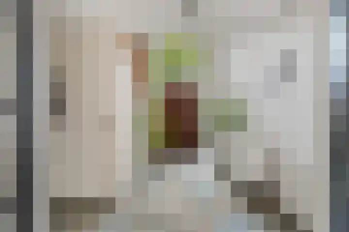Burnierlaan 1 Rozendaal thumbnail 28