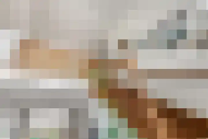 Burnierlaan 1 Rozendaal thumbnail 30