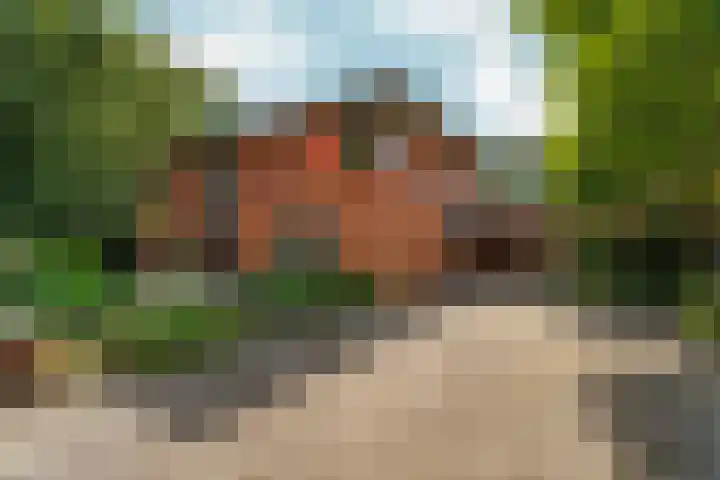 Burnierlaan 1 Rozendaal thumbnail 55