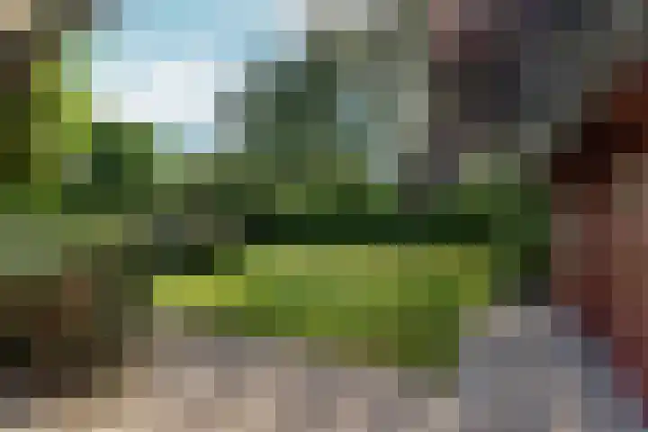 Burnierlaan 1 Rozendaal thumbnail 61