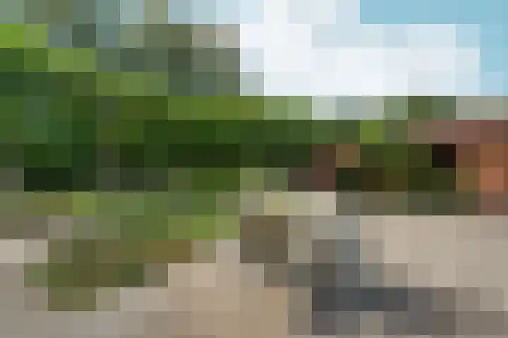 Burnierlaan 1 Rozendaal thumbnail 64