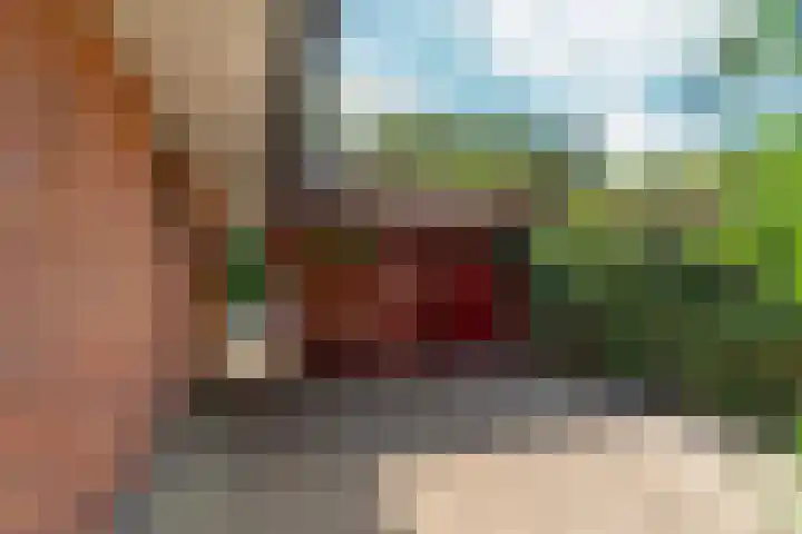 Burnierlaan 1 Rozendaal thumbnail 65