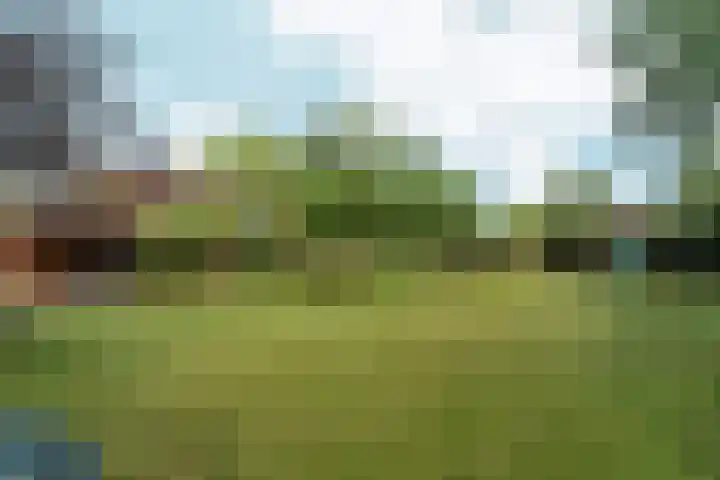 Burnierlaan 1 Rozendaal thumbnail 67