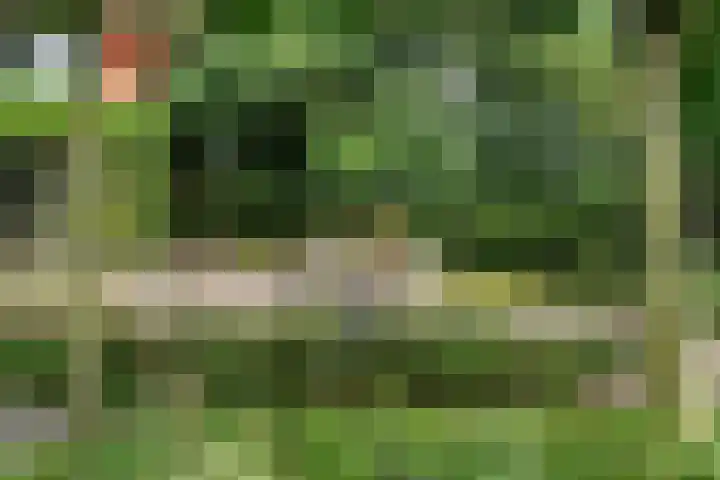 Burnierlaan 1 Rozendaal thumbnail 68