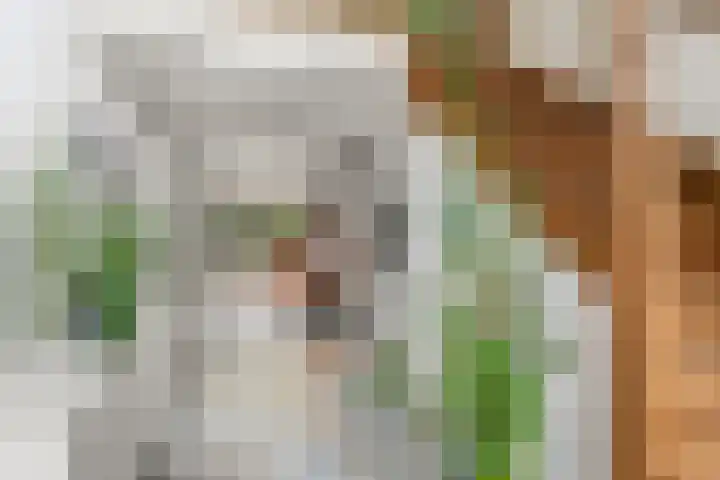 Burnierlaan 1 Rozendaal thumbnail 7