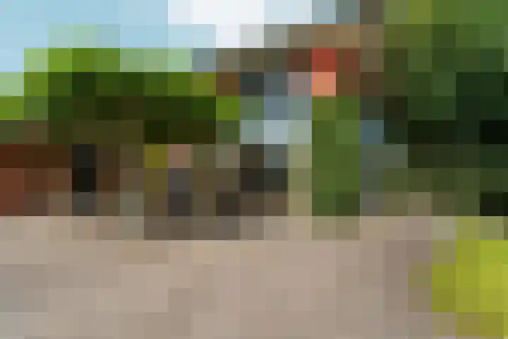 Burnierlaan 1 Rozendaal thumbnail 71