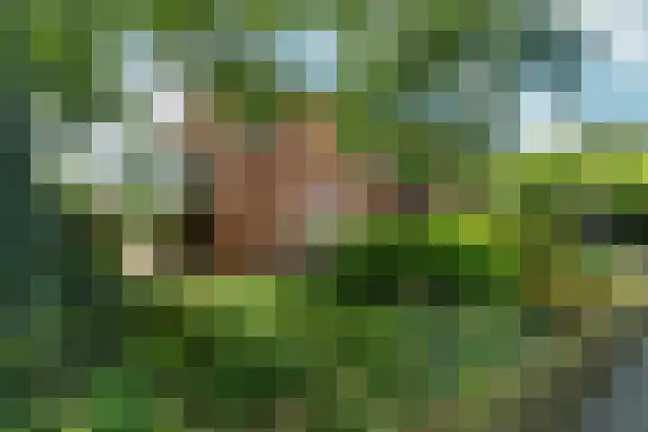 Burnierlaan 1 Rozendaal thumbnail 72