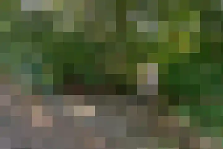 Burnierlaan 1 Rozendaal thumbnail 73