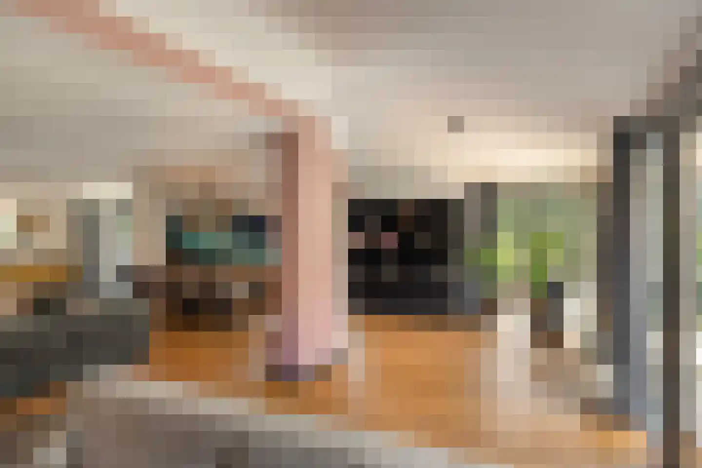 Burnierlaan 20 Rozendaal thumbnail 21