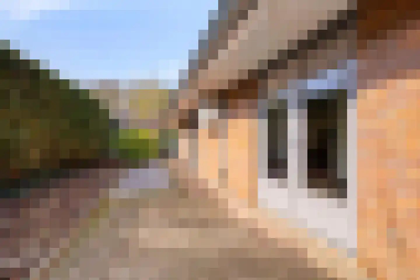 Burnierlaan 20 Rozendaal thumbnail 46