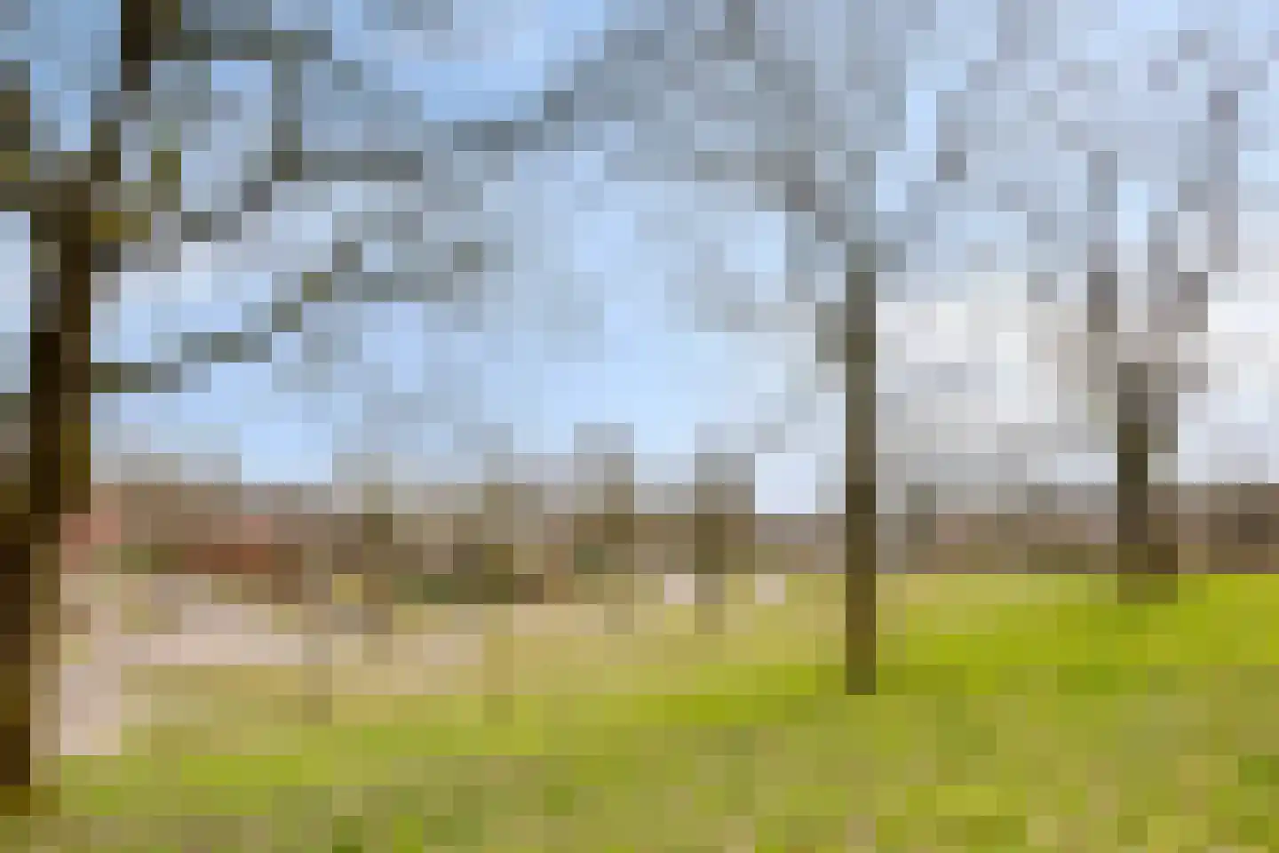 Burnierlaan 20 Rozendaal thumbnail 53