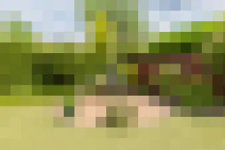 Burnierlaan 28 Rozendaal thumbnail 21