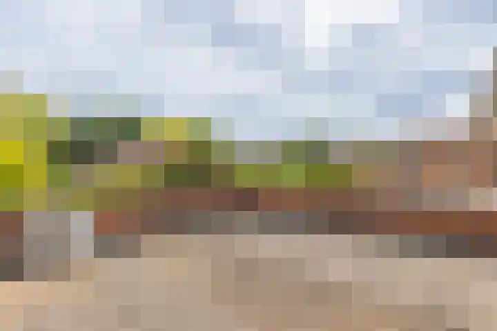 Burnierlaan 28 Rozendaal thumbnail 33