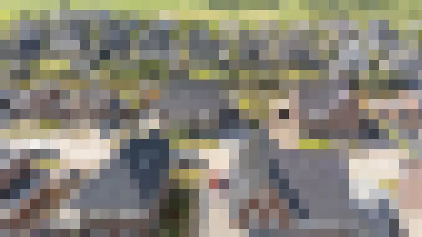 Burrefeart 17 Franeker thumbnail 10