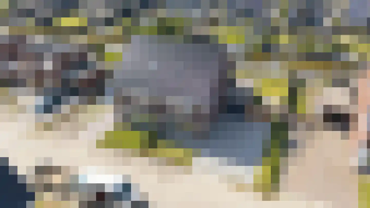 Burrefeart 17 Franeker thumbnail 11