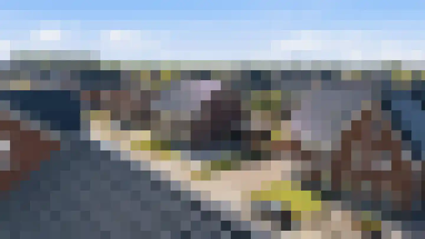 Burrefeart 17 Franeker thumbnail 12