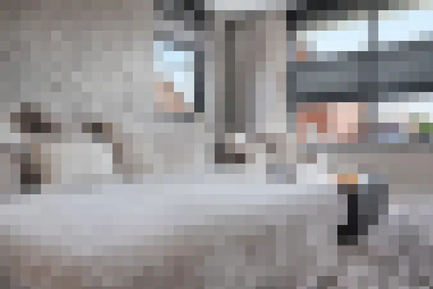 Burrefeart 17 Franeker thumbnail 17