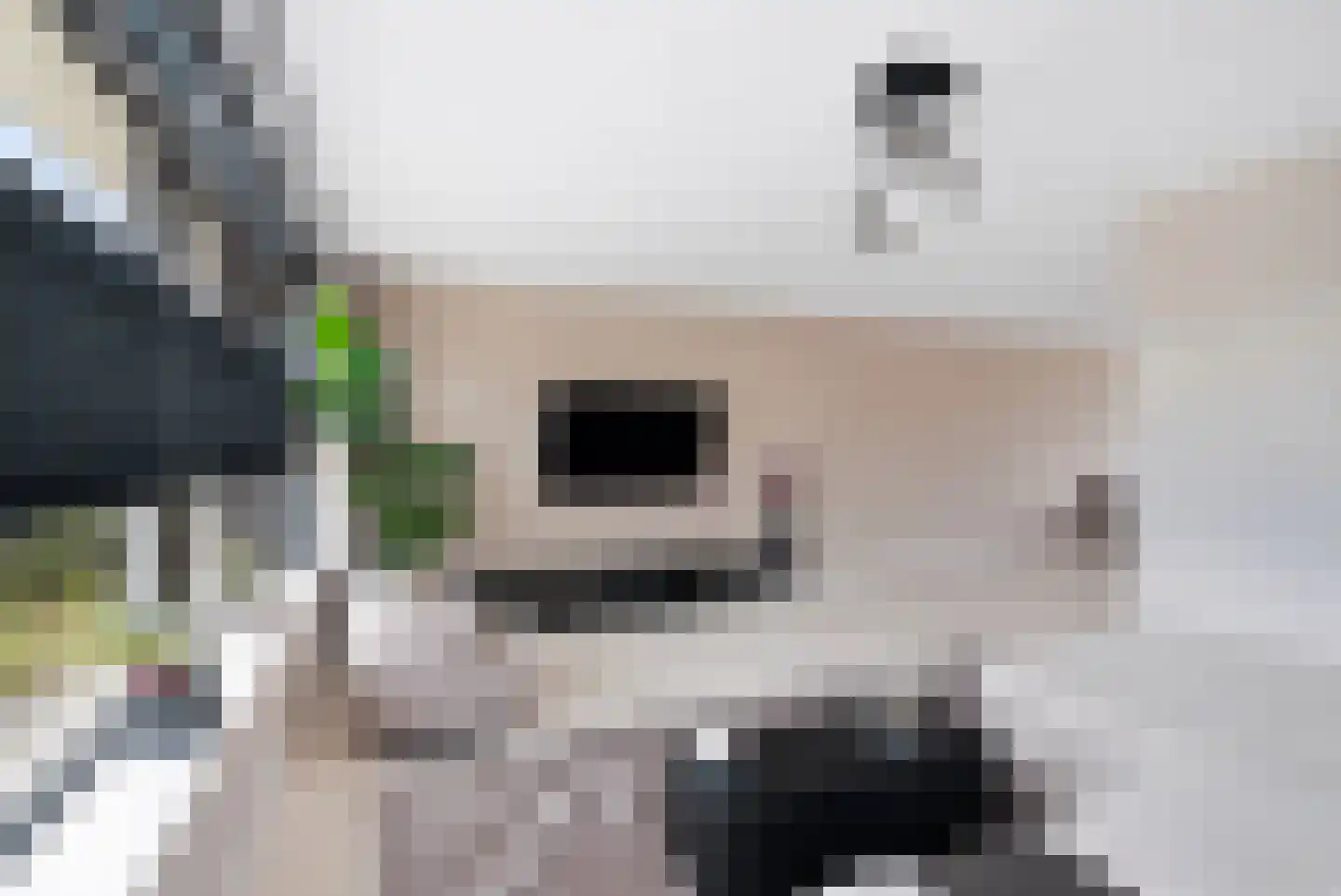 Burrefeart 17 Franeker thumbnail 18