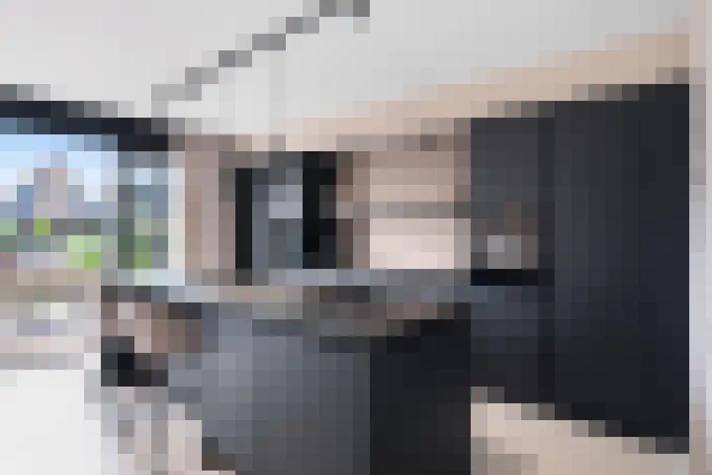 Burrefeart 17 Franeker thumbnail 25