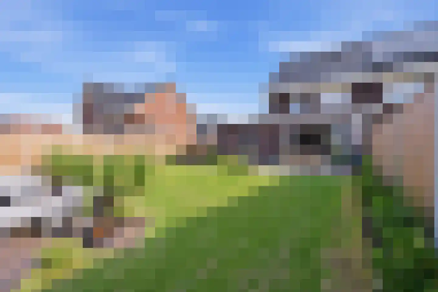 Burrefeart 17 Franeker thumbnail 50