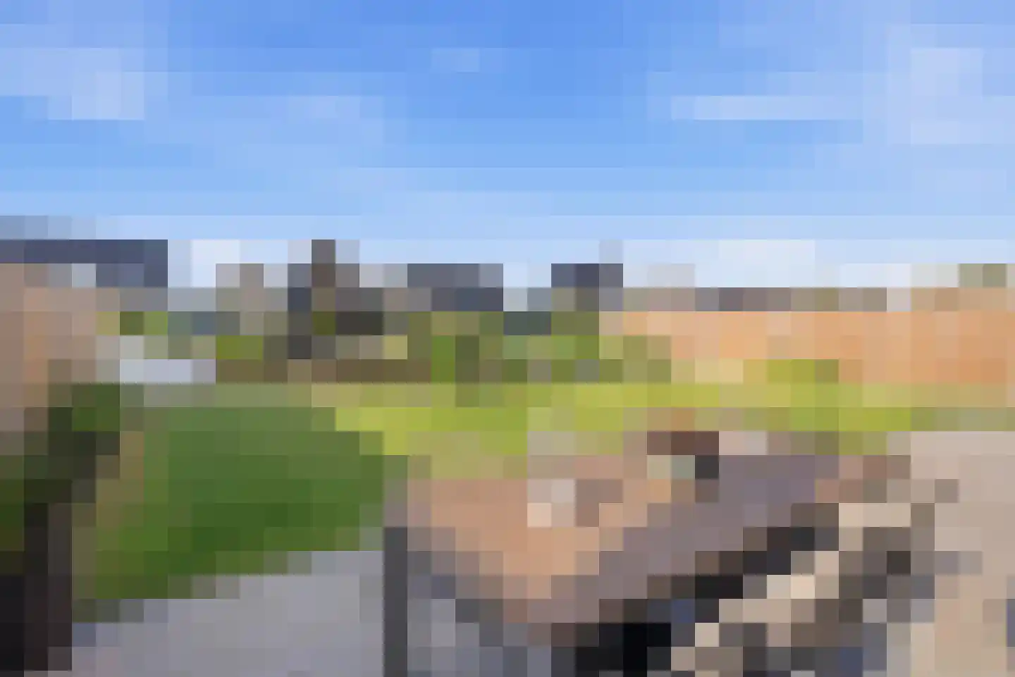 Burrefeart 17 Franeker thumbnail 52